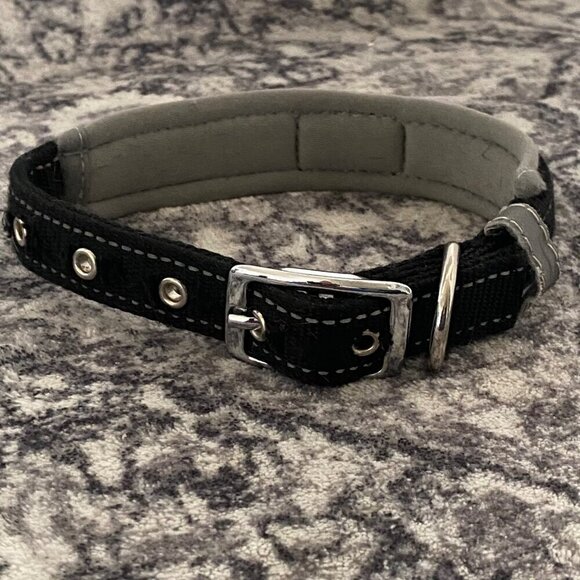 Puppy Bowls and stand, and Collar Bundle - Picture 6 of 6